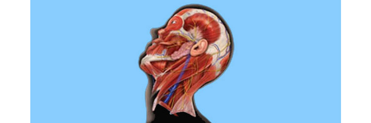 Head & Neck Surgery